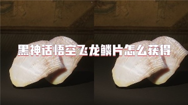 黑神话悟空飞龙鳞片怎么获得-黑神话悟空龙鳞获取