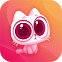 蘑菇tv手机版下载安装