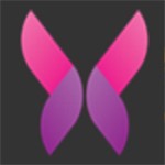 草莓.combo2.0免费版