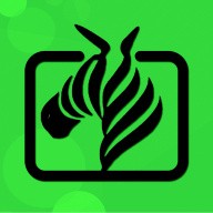 最近高清国语中文在线观看