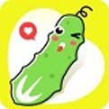 牡丹直播app