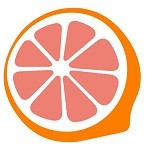 大妹子影视剧在线观看全集免费_logo